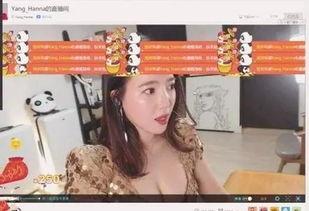 韩国女主播 来中国,文化碰撞与魅力绽放