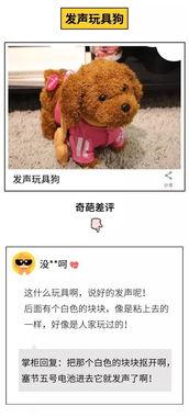 淘宝搞笑离婚,夫妻搞笑对决，网友笑翻！